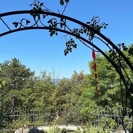 Drenova Apartman Apartment Rijeka Luaran gambar